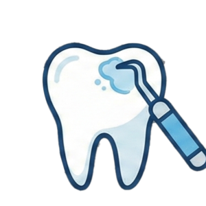 TRÁM & CHIẾU ĐÈN